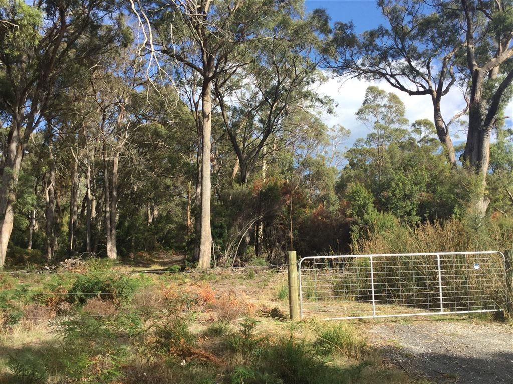 Lot 18 Inglis Road, Clarence Point TAS 7270, Image 1