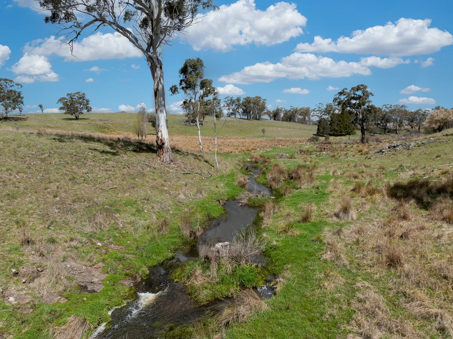 Additional image 6 of 584 Huntley Road, Huntley NSW 2800