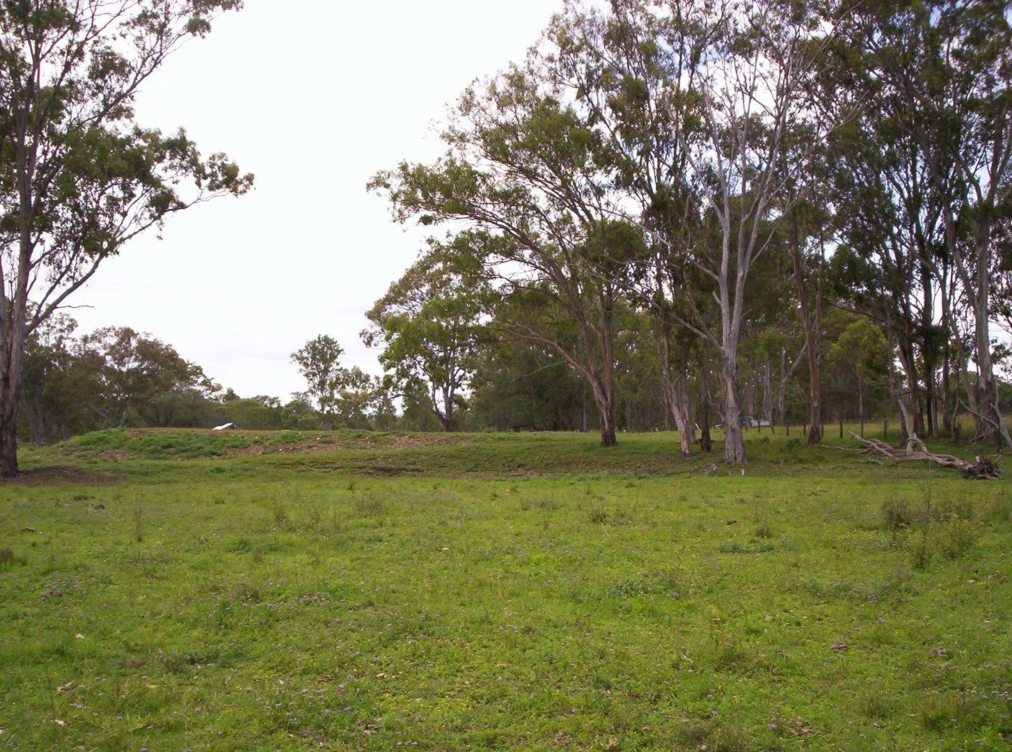 Lot 1 Big Hill Road, Pratten QLD 4370, Image 0