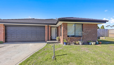 Picture of 12 FLORENCE AVENUE, MOE VIC 3825