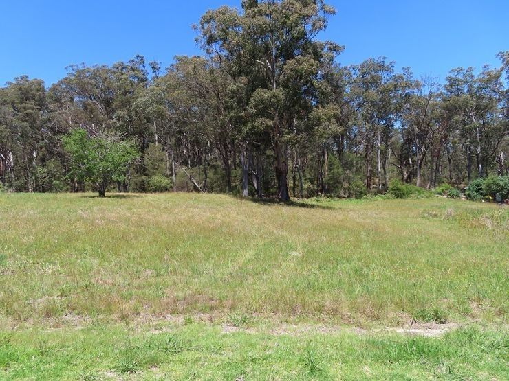 Lot 1 Mount Lindesay Road, Stanthorpe QLD 4380, Image 0