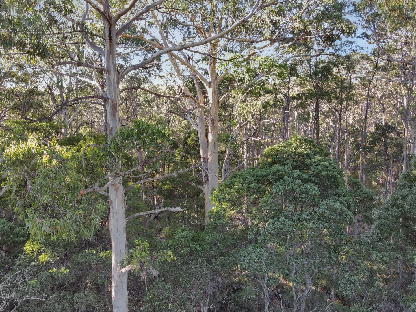Additional image 8 of 577 Elephant Pass Road, Gray TAS 7215
