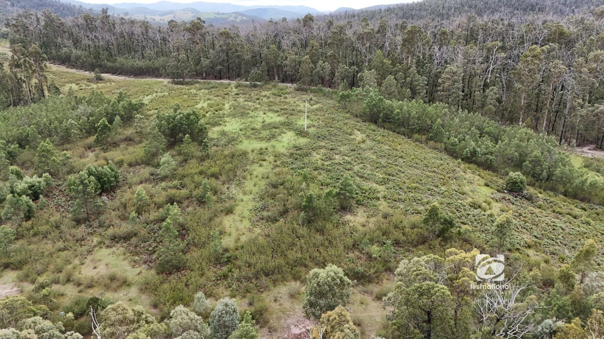 Additional image 8 of Lot 1/303 Basin Road, Buchan VIC 3885