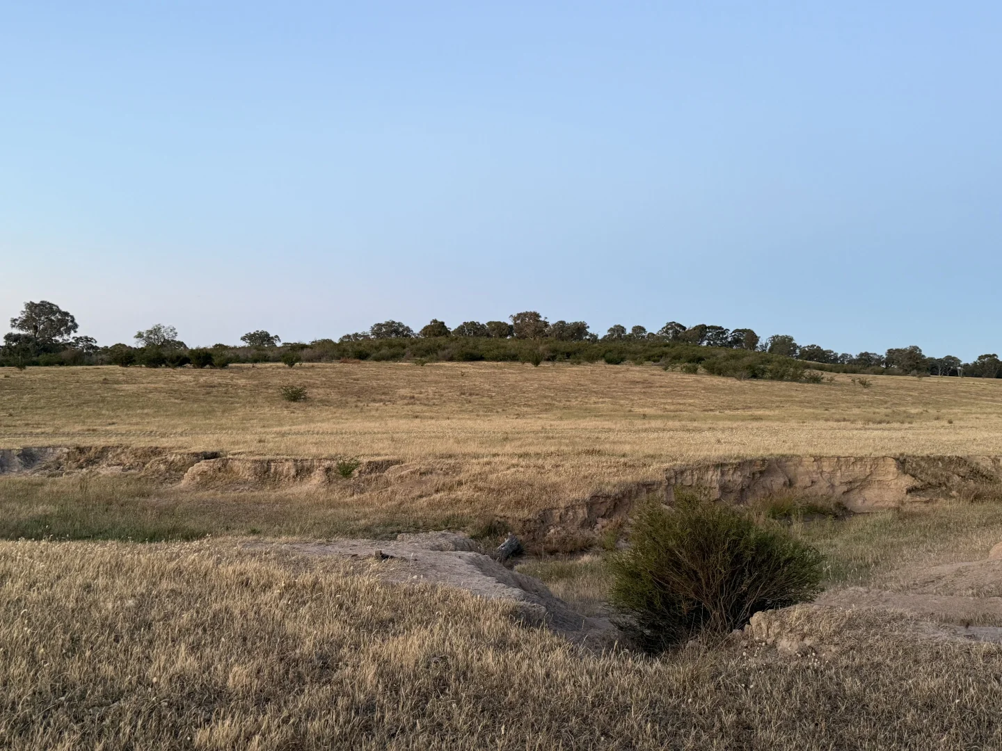 Image 10