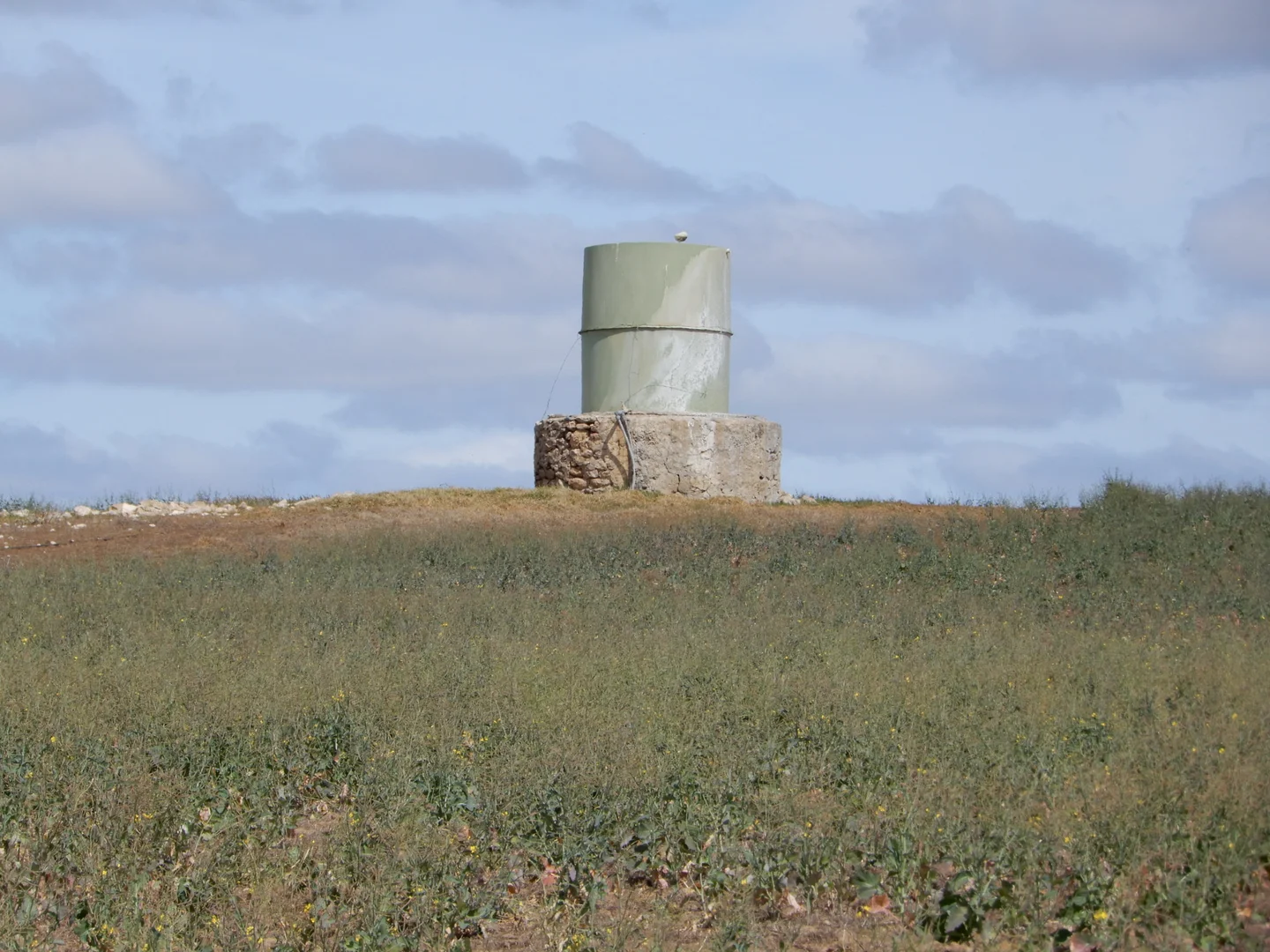 Image 5