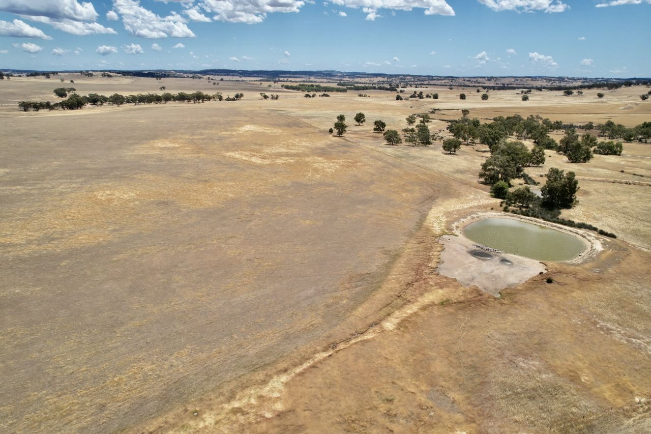 Rural in 7367 York Williams Road, JELCOBINE WA, 6306