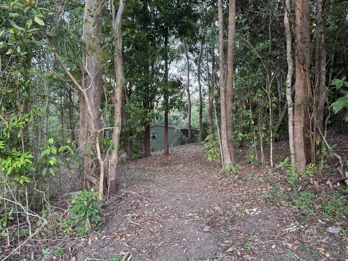 Image 8