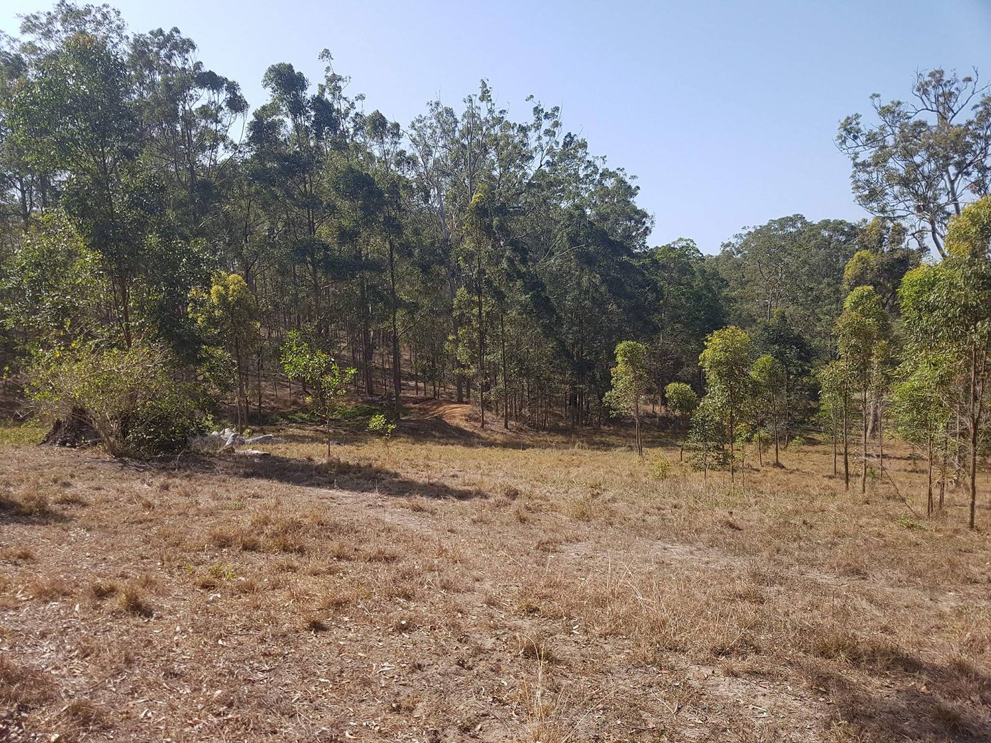 L126 Erins Knob Road, Neerdie QLD 4570, Image 1