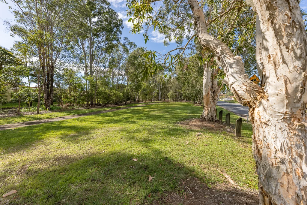 Image 15
