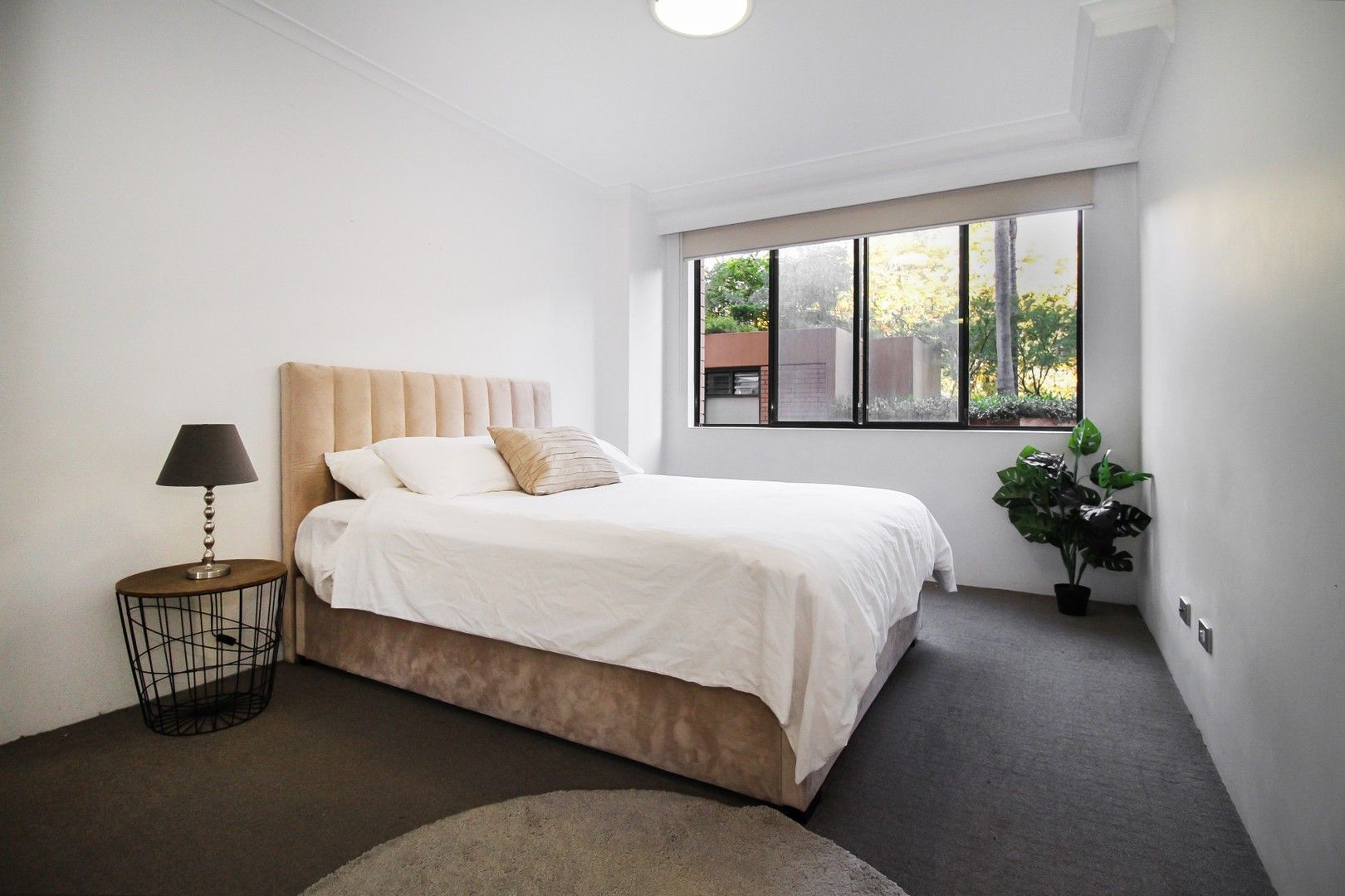 2 bedrooms Apartment / Unit / Flat in 117/2-26 Wattle Crescent PYRMONT NSW, 2009