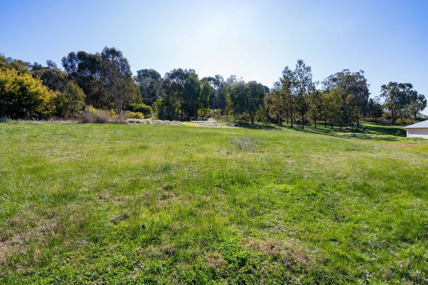 Vacant land in 6 Darling Place, TATTON NSW, 2650