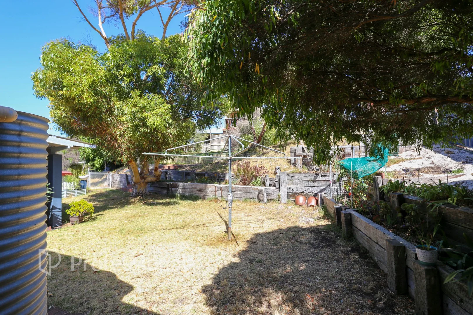 Image 13
