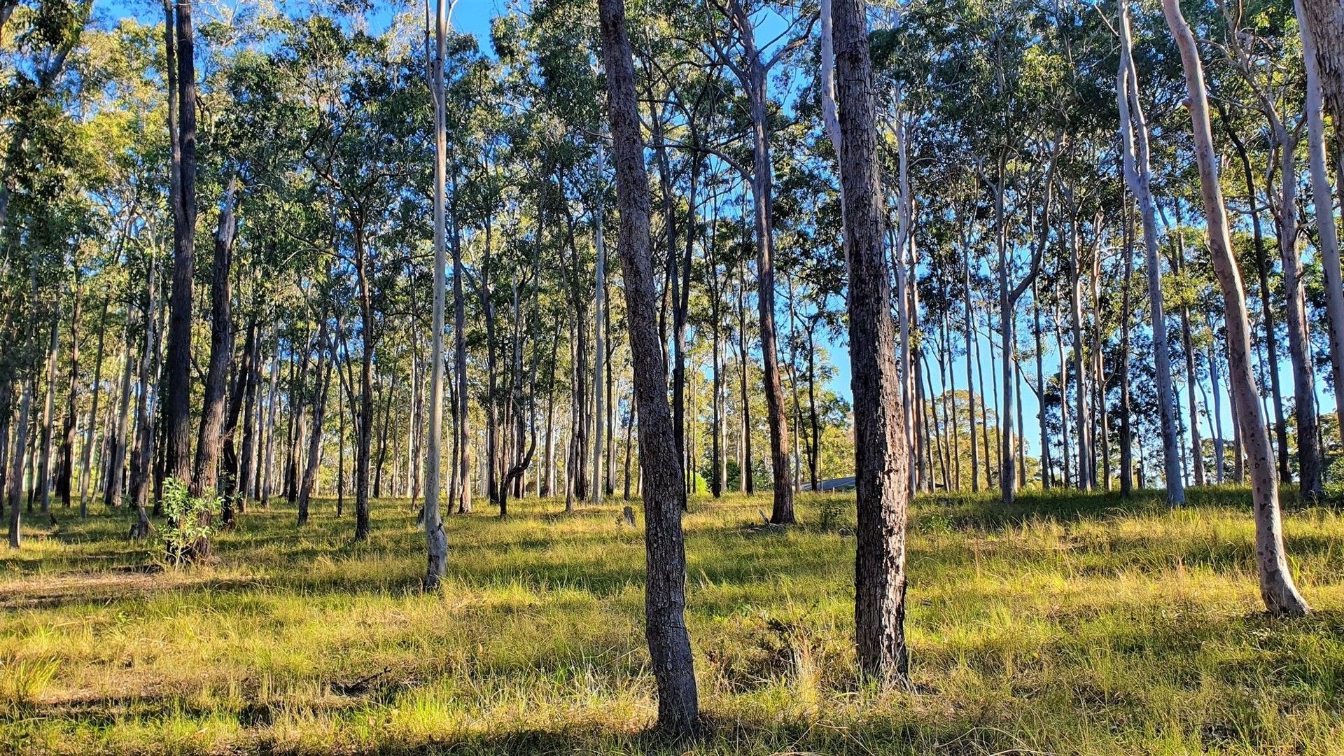 Gulmarrad NSW 2463 vacant land for Sale, ALL UNDER OFFER 2017218655 Domain