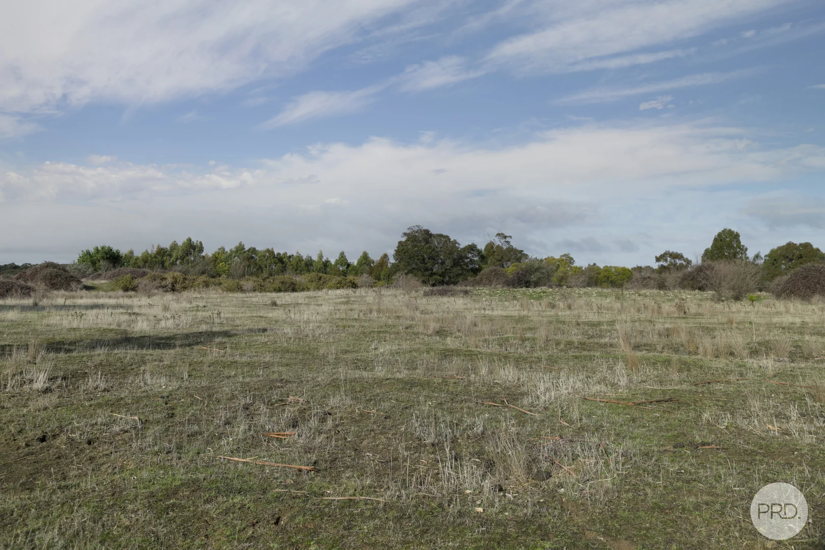Image 14