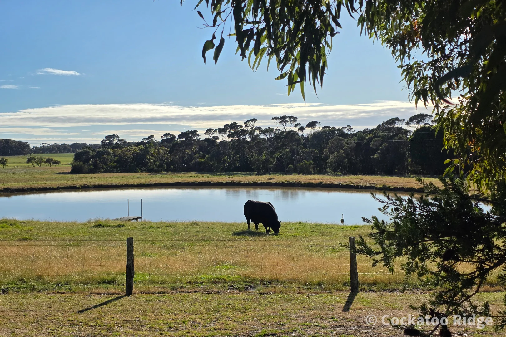 Additional image 9 of 96 Rudgyard Place, Hay WA 6333