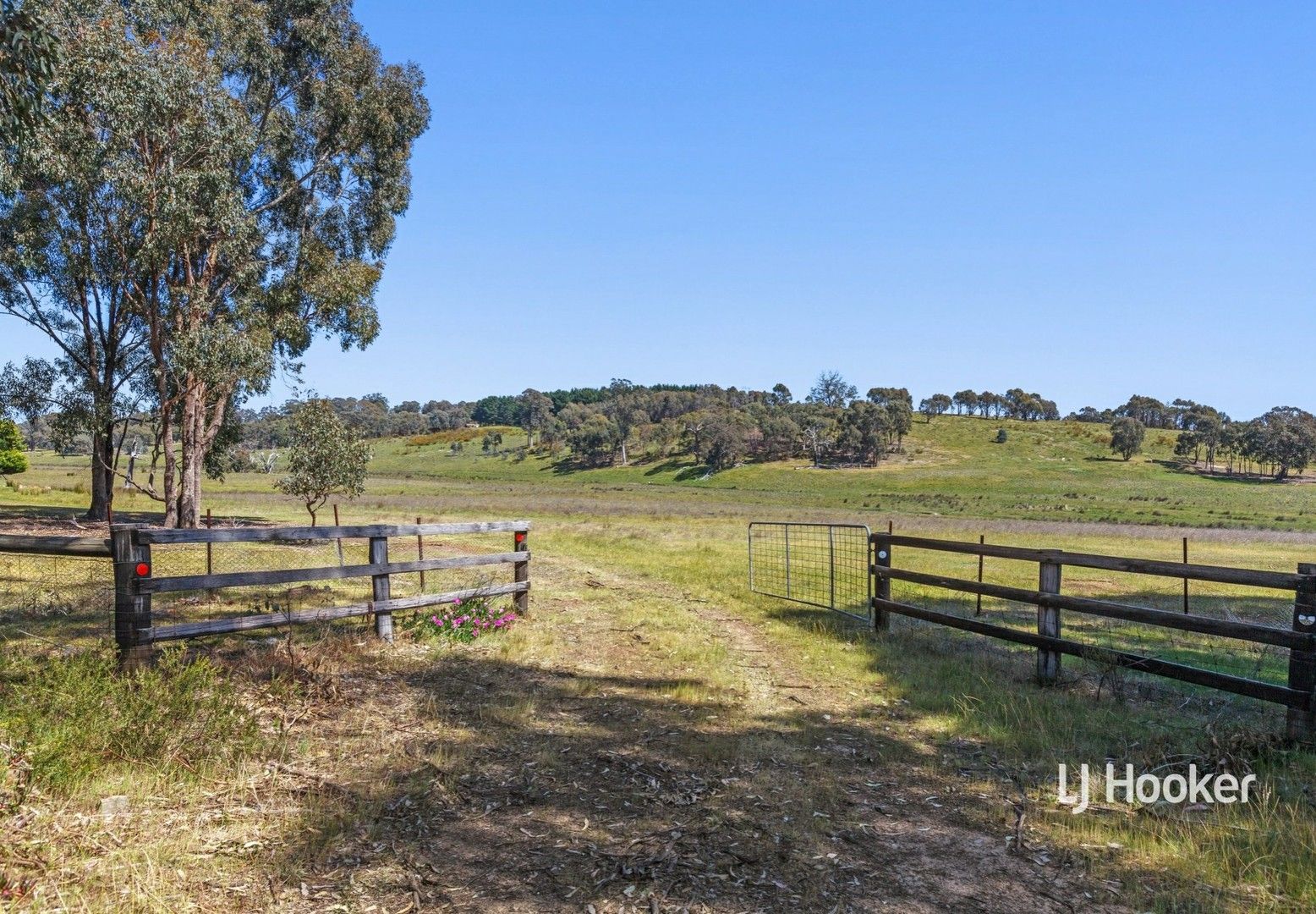 1415 Sugarloaf Creek Road, Sugarloaf Creek VIC 3658, Image 0