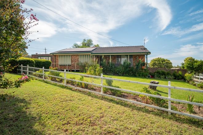 Picture of 24 Angela Street, EAST TAMWORTH NSW 2340