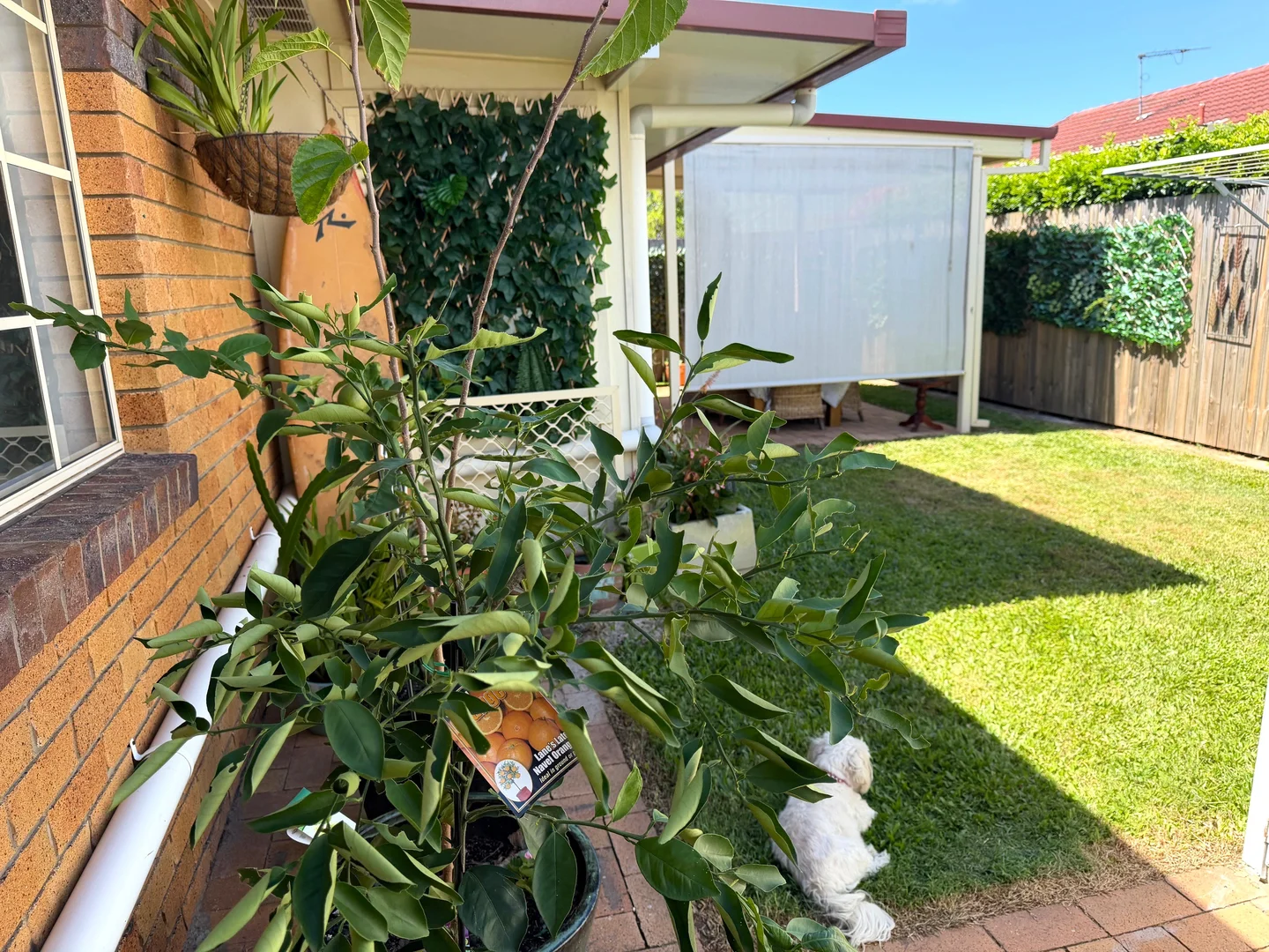 Additional image 14 of 15/24 Sixteenth Avenue, Brighton QLD 4017