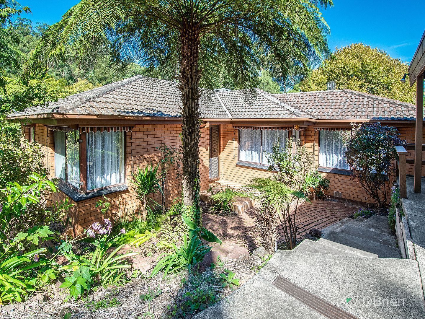 36 Blackwood Street, Tecoma VIC 3160, Image 0