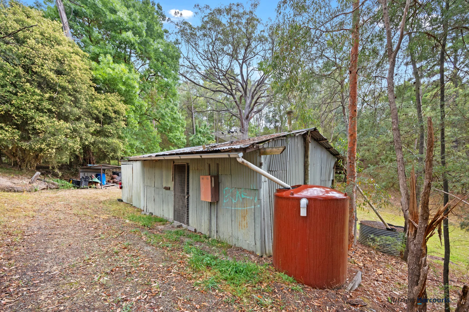 Image 14
