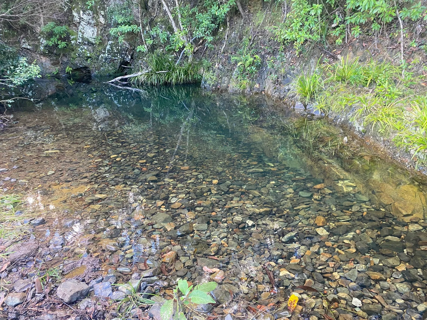 Image 13