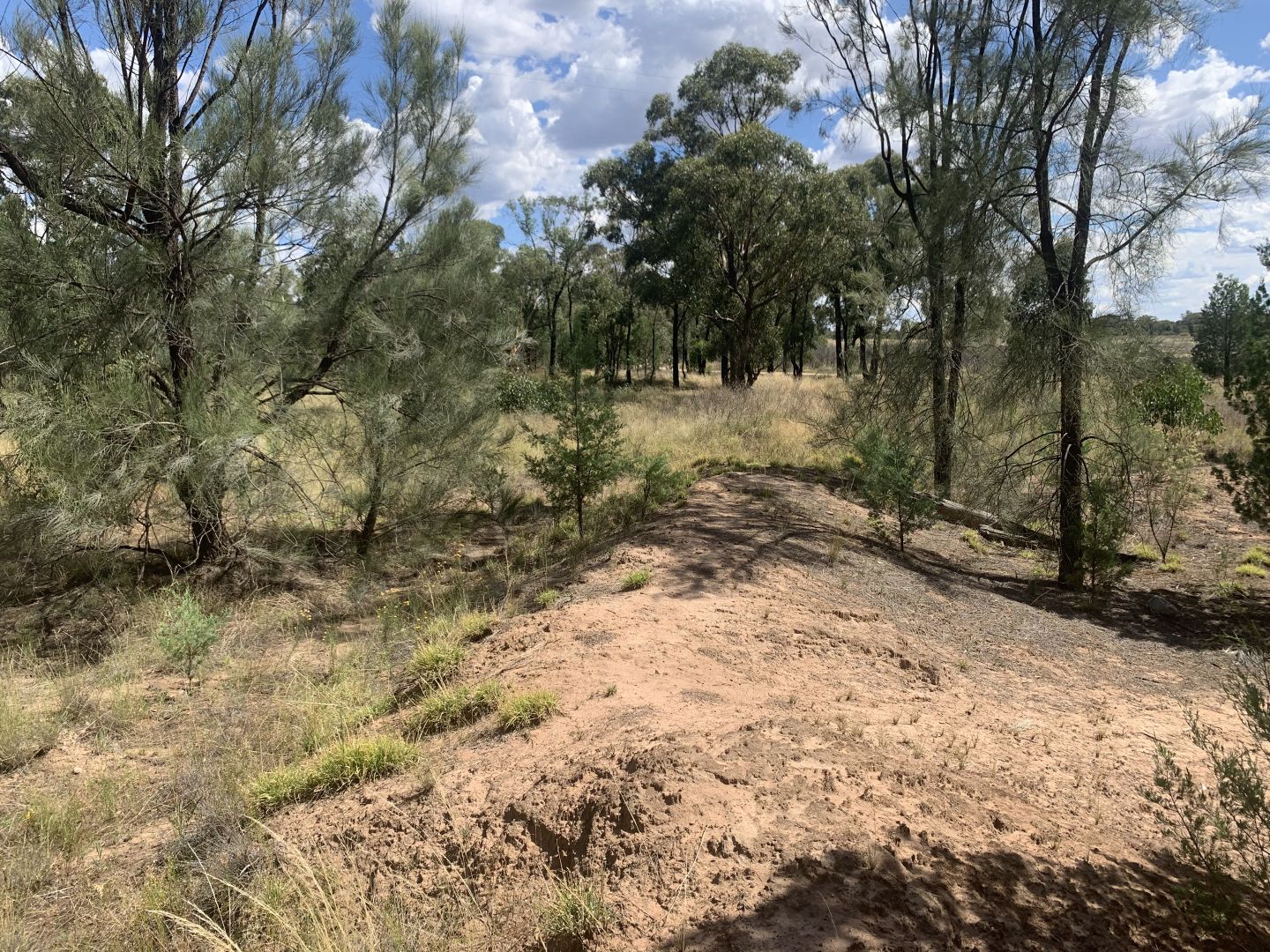 Lot 3 Warraderry Way (Gooloogong Via Cowra), Cowra NSW 2794, Image 1