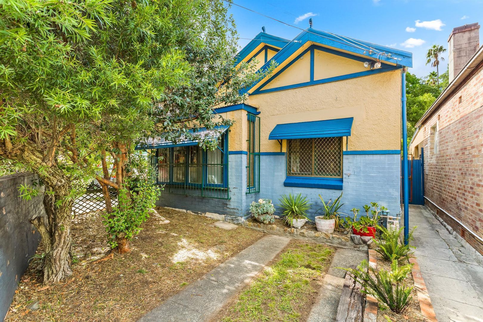 517 Illawarra Road, Marrickville NSW 2204, Image 1