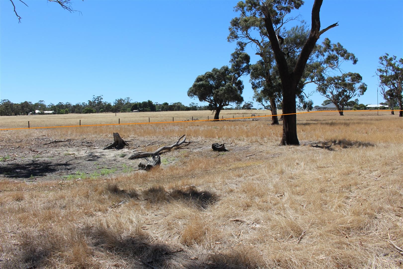 Lot 100 Jenkin Road, Bordertown SA 5268, Image 1