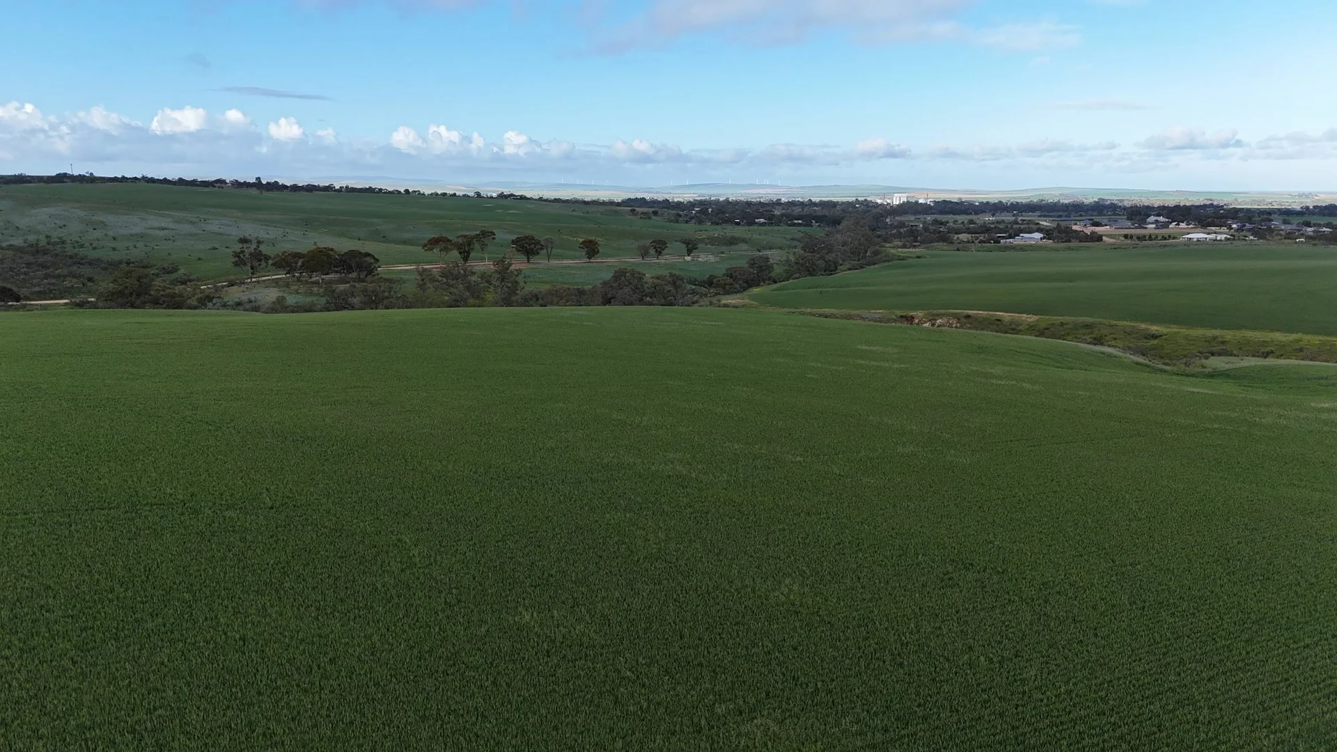 Additional image 17 of 'Crystal Valley' Talbots Road, Crystal Brook SA 5523