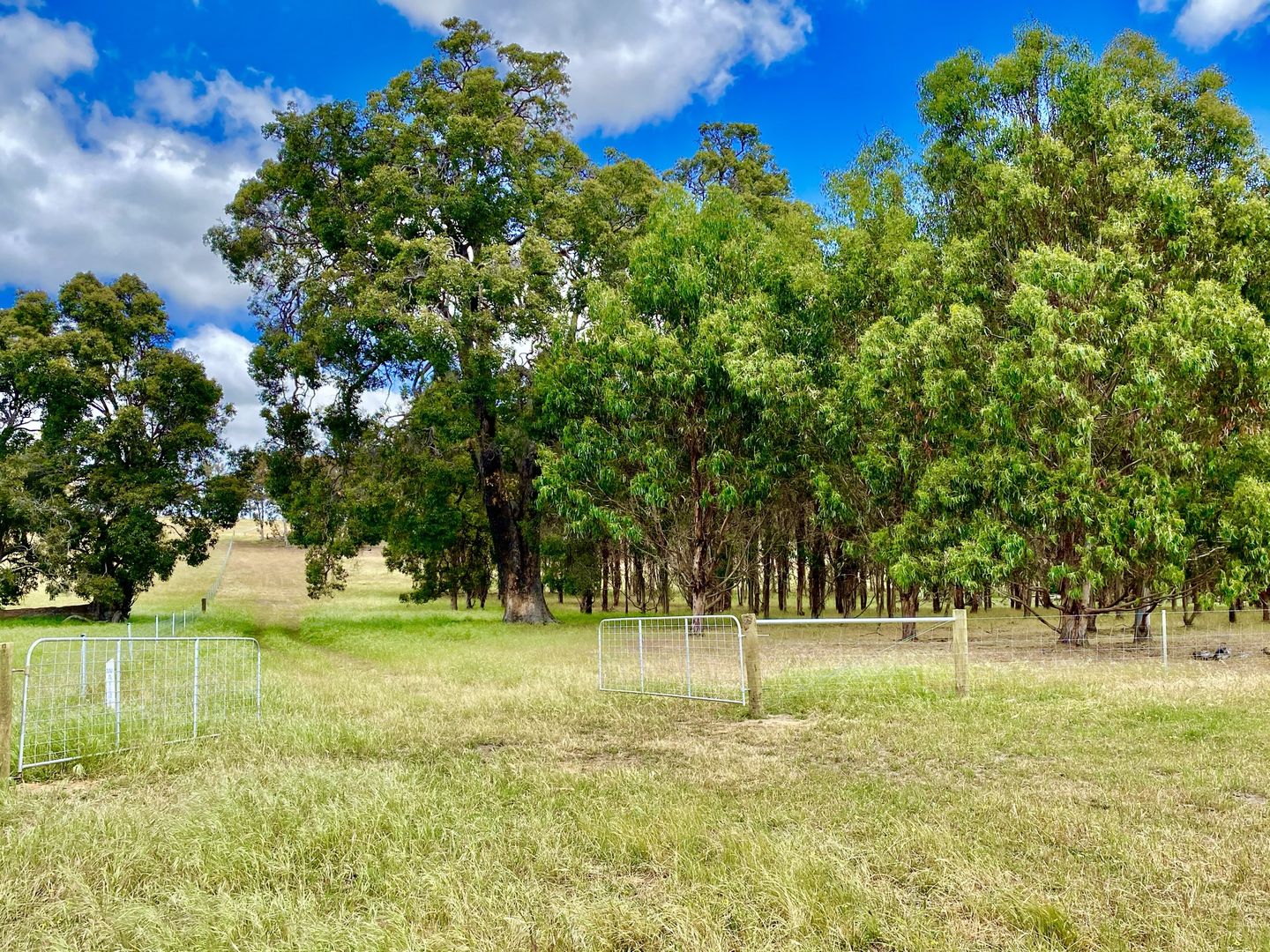 Lot 5 & 7 Six Mile Road, Mayanup WA 6244, Image 2