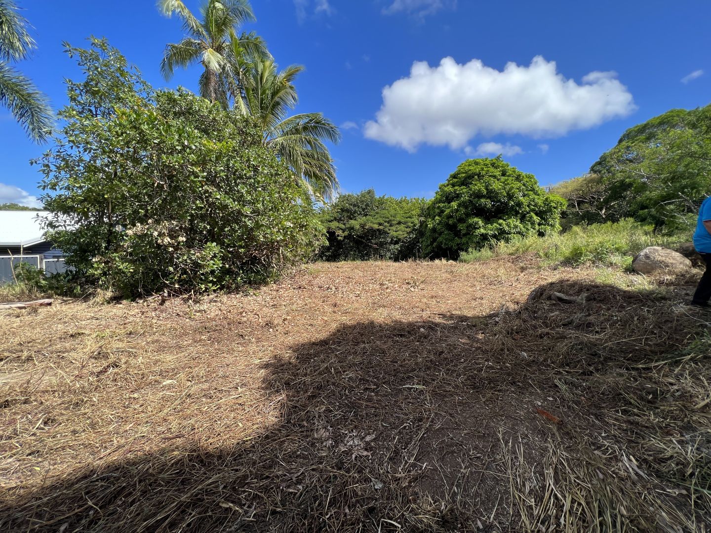 11-ann-street-cooktown-qld-4895-domain