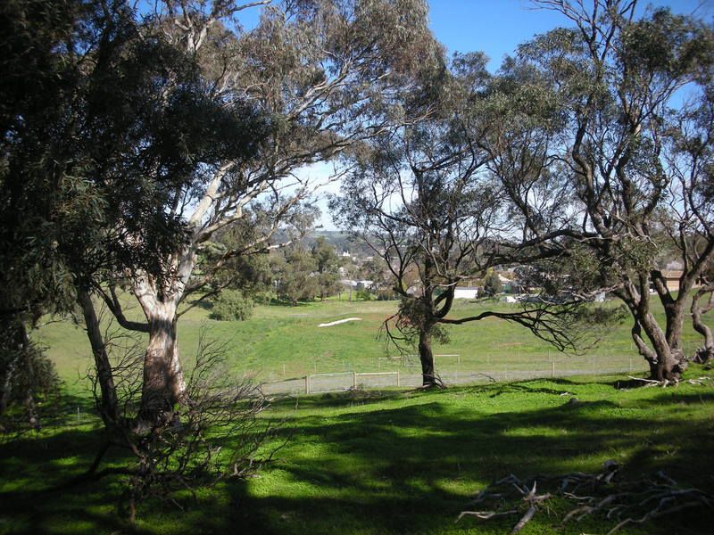 Lot 9 Leaney Court, Penrice SA 5353, Image 0