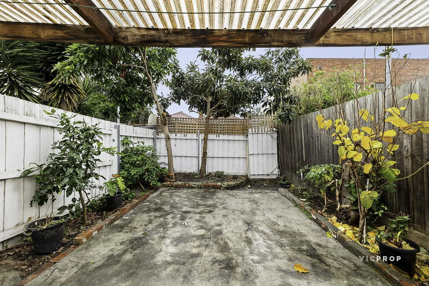 Image 10