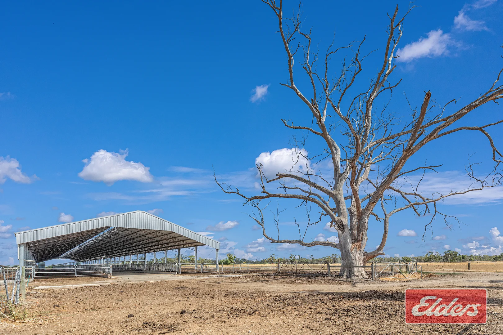 Image 20