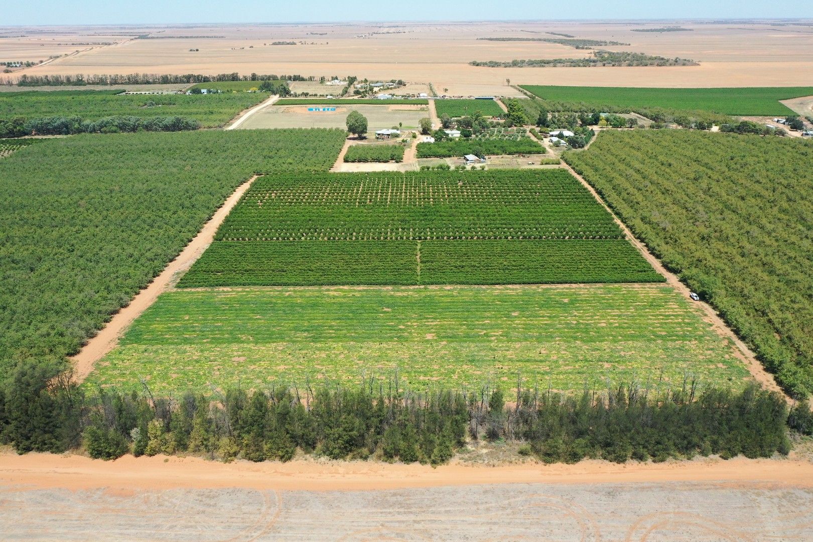 54 Newton Road, Loxton SA 5333 House for Sale 250,000 Domain