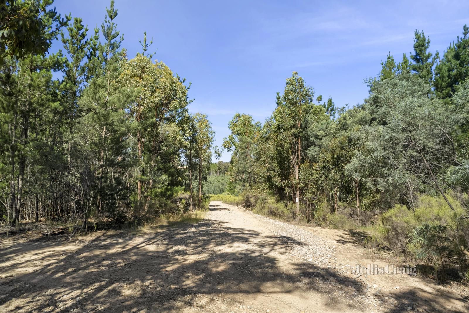 436 Porcupine Ridge Road, Porcupine Ridge VIC 3461, Image 2