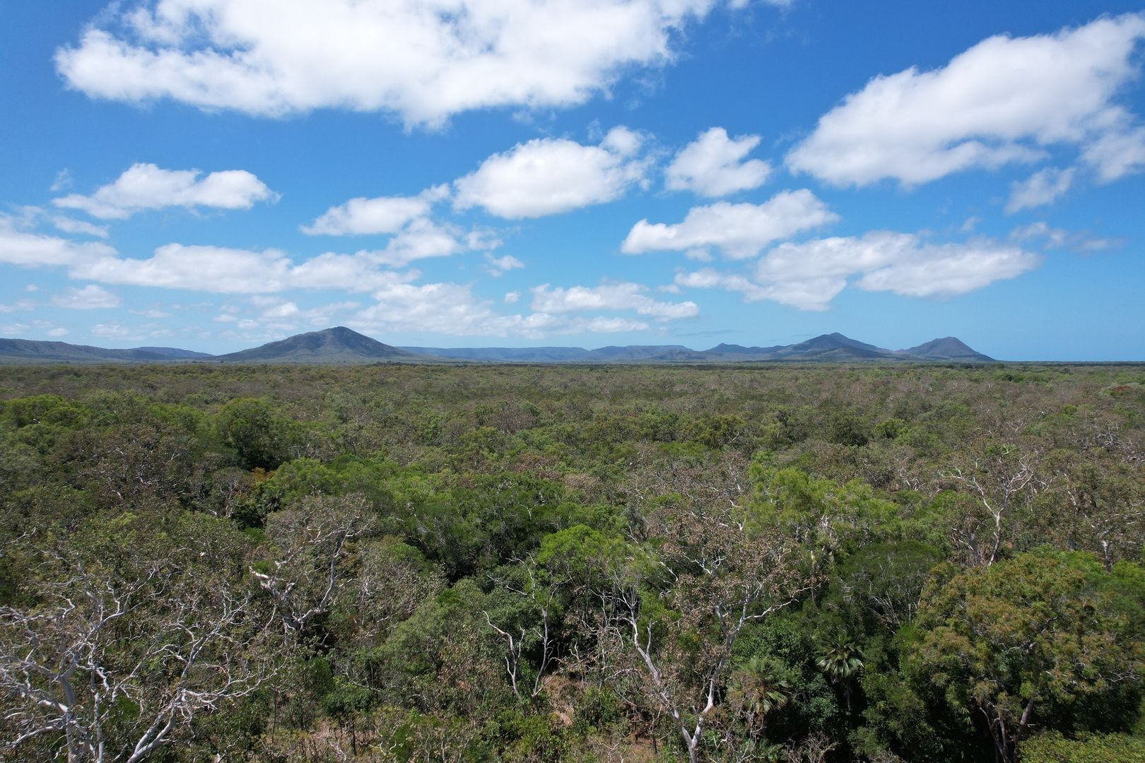 Cooktown QLD 4895, Image 2