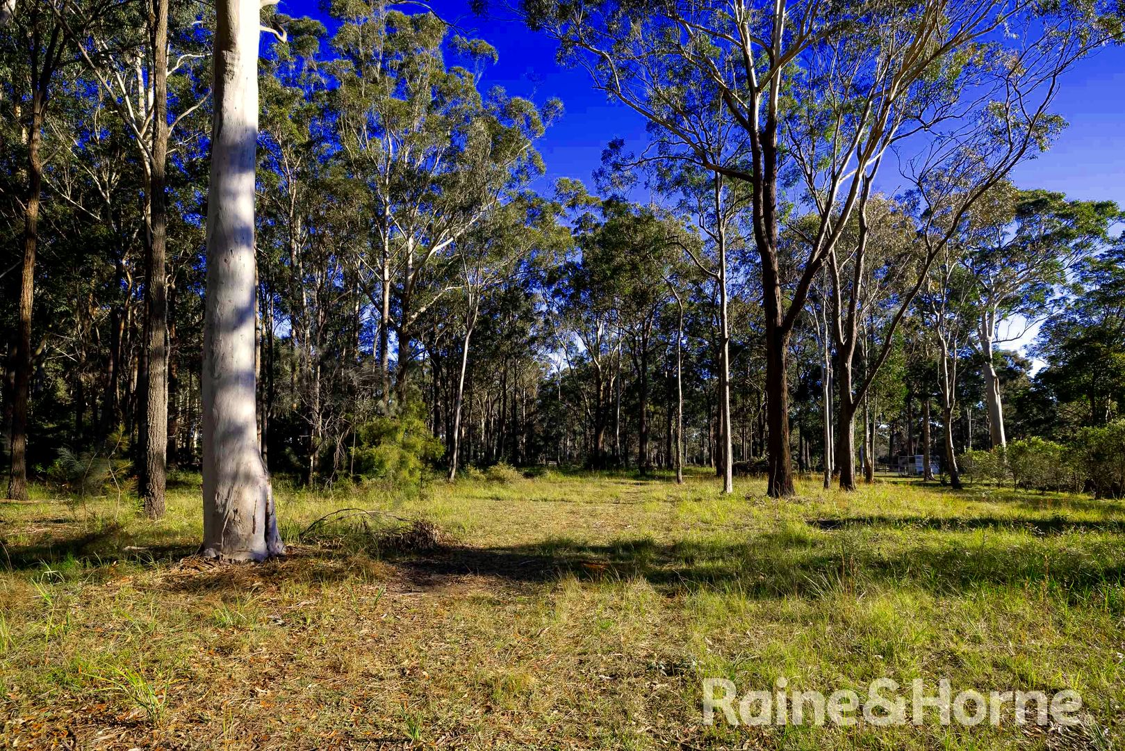 15 Mahogany Place, Medowie NSW 2318, Image 2