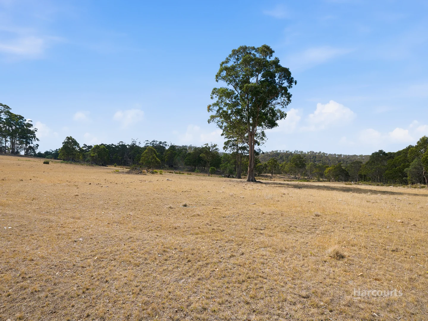 Additional image 12 of 5008 Tasman Highway, Buckland TAS 7190