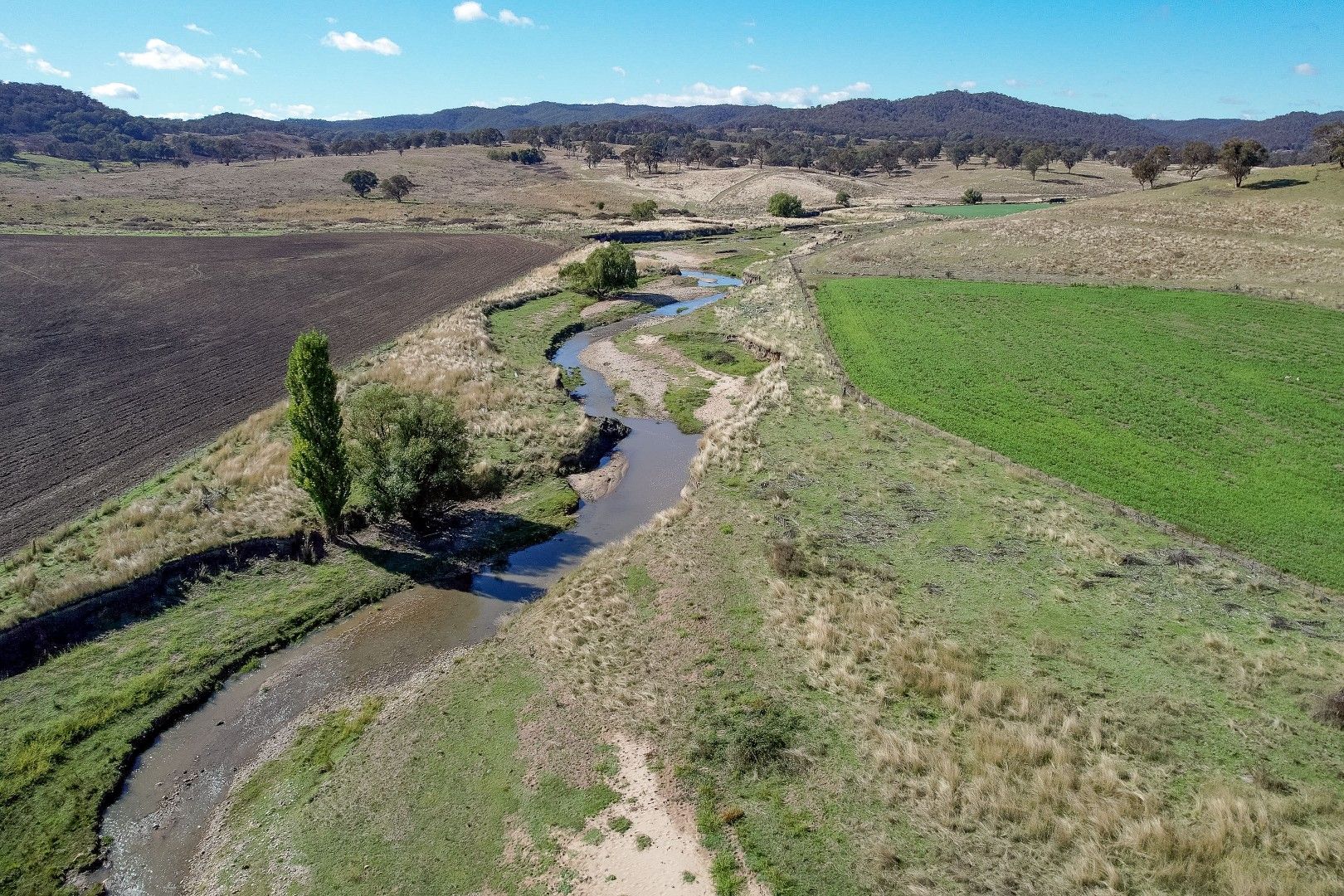 3 bedrooms Rural in 511 Cooksvale Road CROOKWELL NSW, 2583