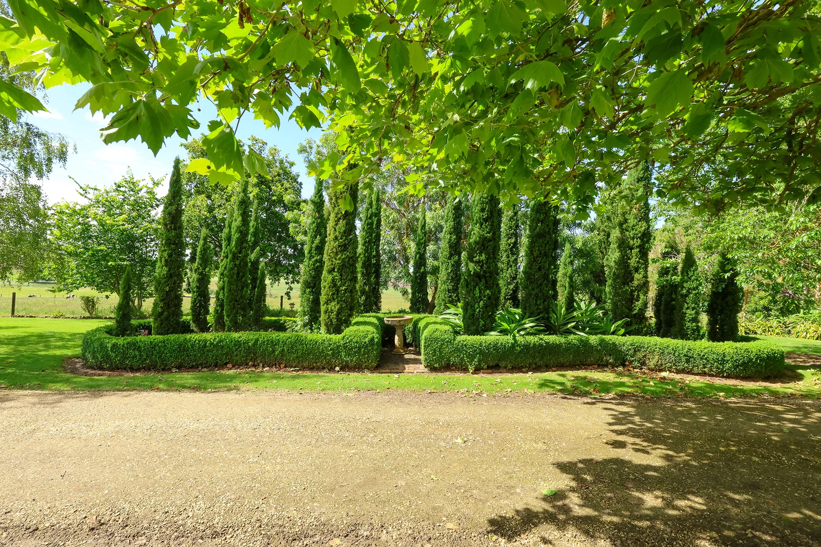 Image 25