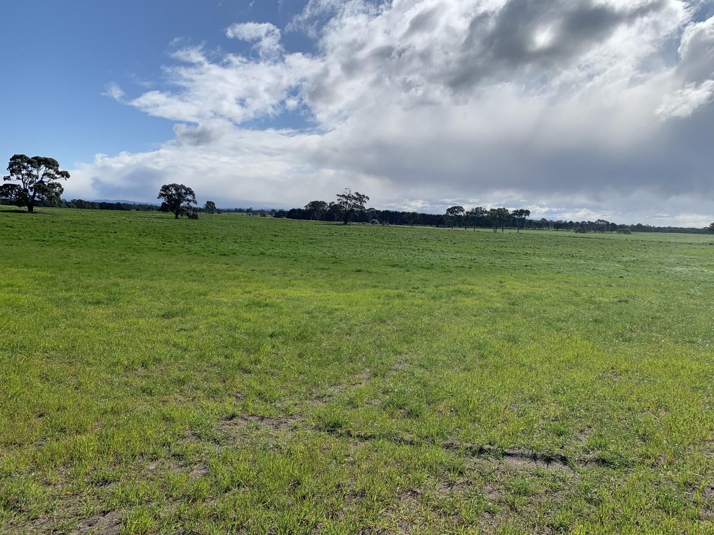 Lot 1 Turners Road, Perry Bridge VIC 3862, Image 2