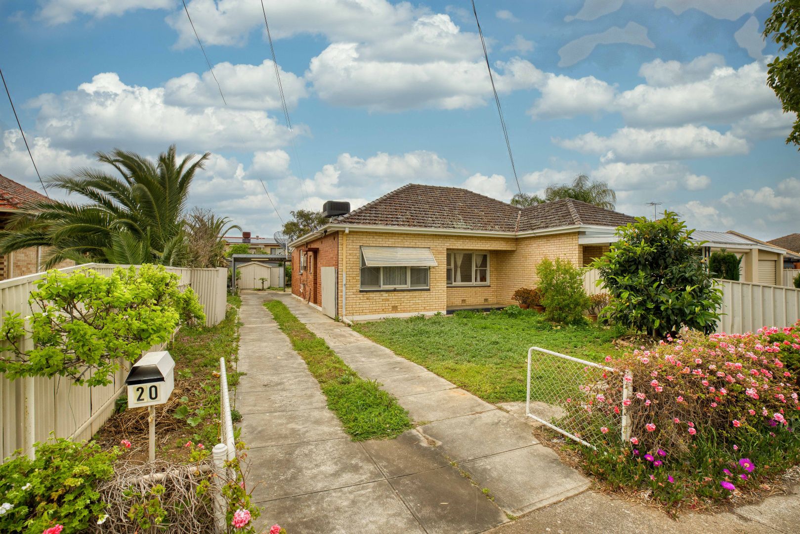 20 Daly Street, South Plympton SA 5038, Image 1