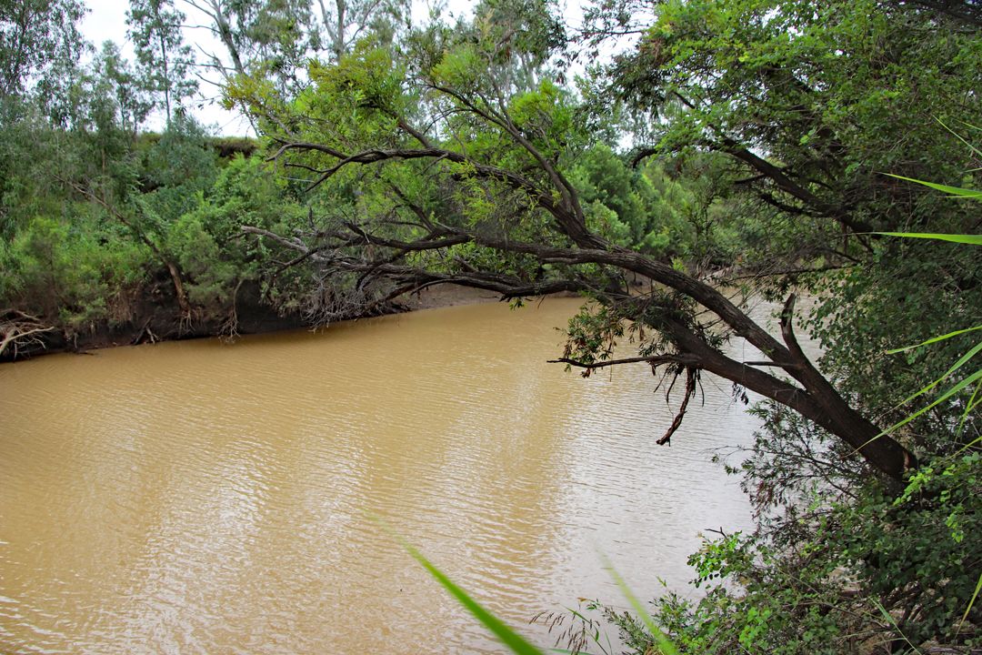 Jalokada Tomlins Road, Dixalea QLD 4702, Image 2