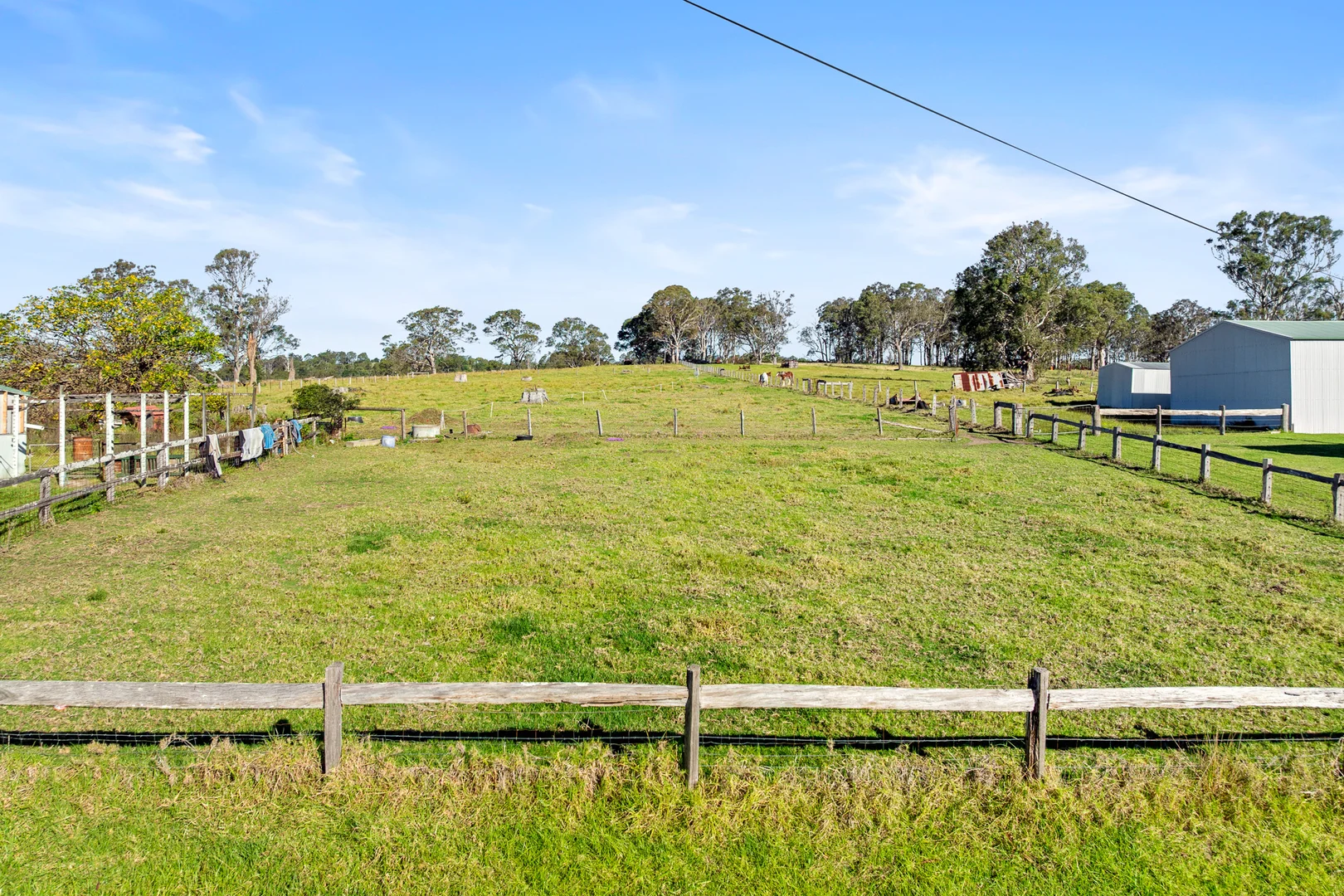 Image 15