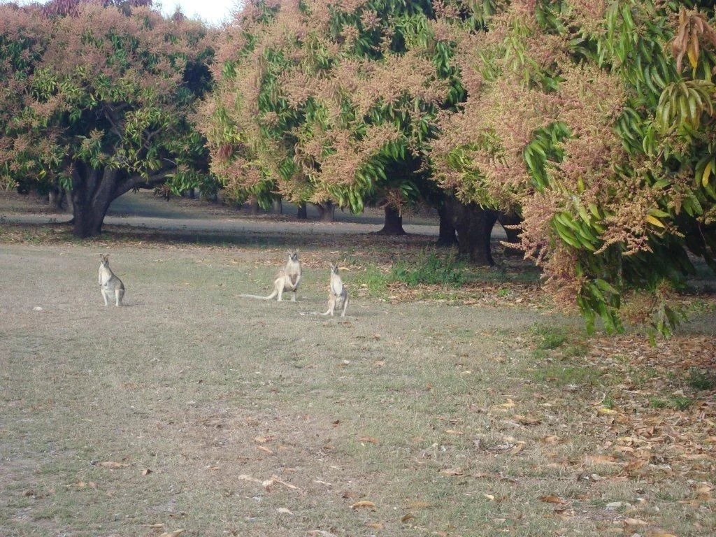 Additional image 21 of Bowen QLD 4805