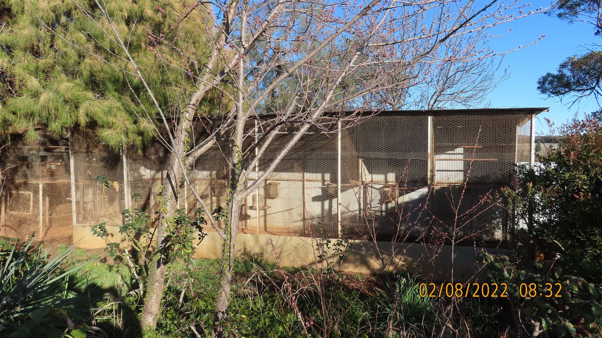 * The Original Four Corners Homestead & Acreage, Nymagee NSW 2831, Image 2