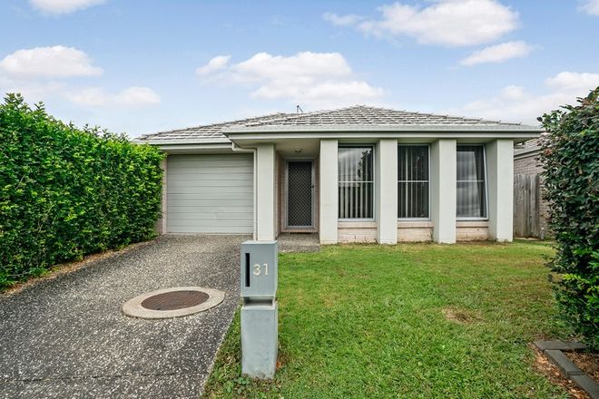 Picture of 31 Macadamia Street, MANGO HILL QLD 4509