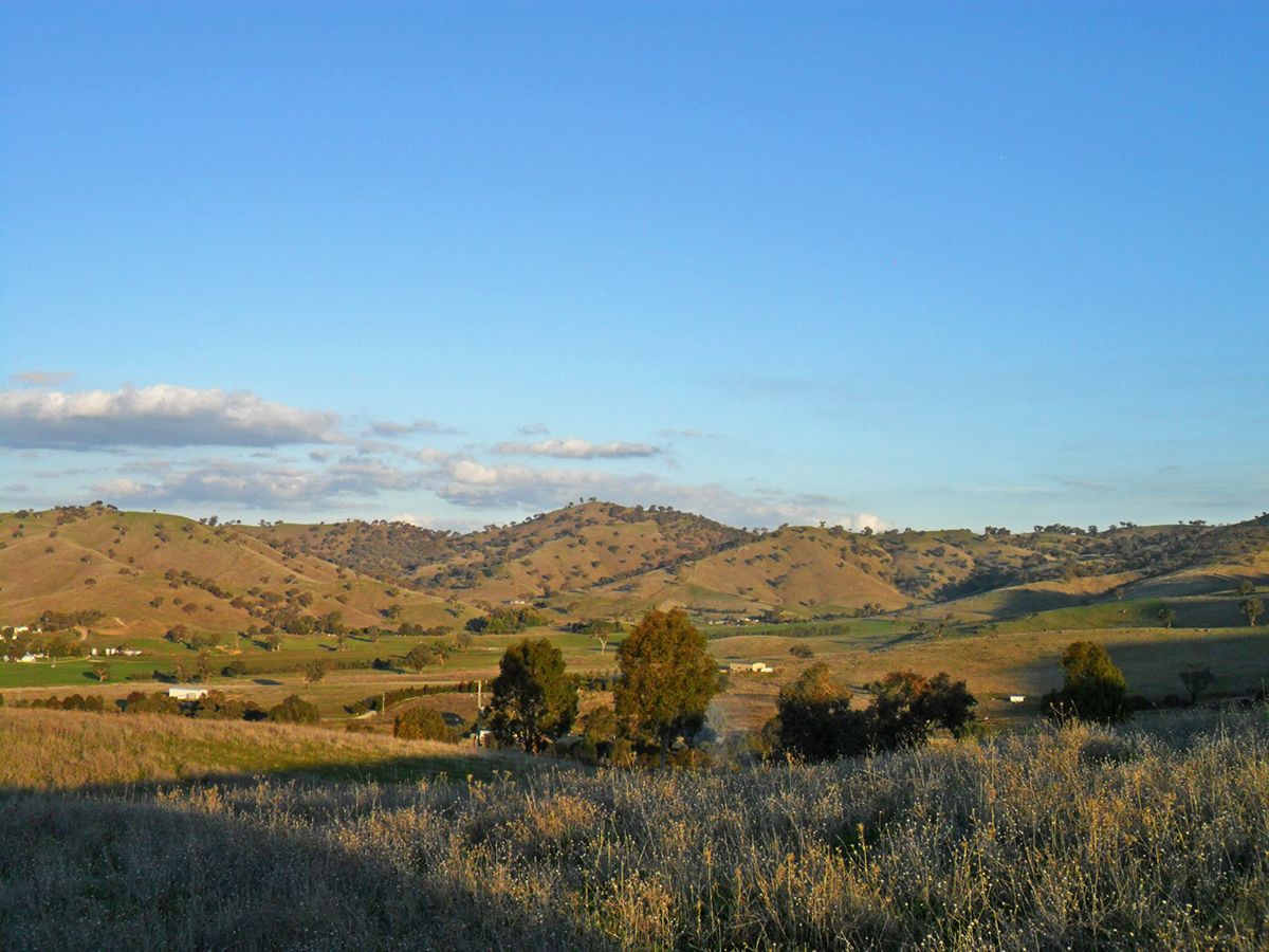 Lot 4 Springfield Lane, Gundagai NSW 2722, Image 0