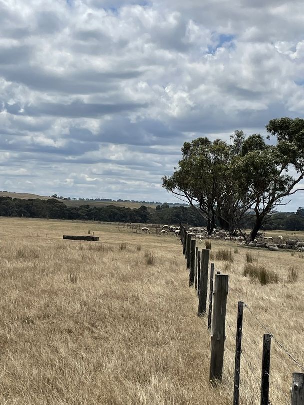 Nolans Road, Henty VIC 3312, Image 0